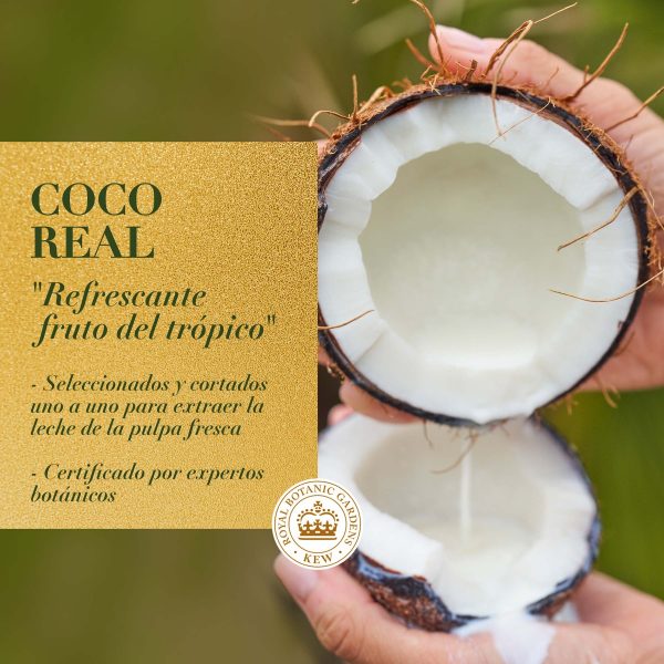 Acondicionador Herbal Essences Coconut Milk 400 Ml - Imagen 4