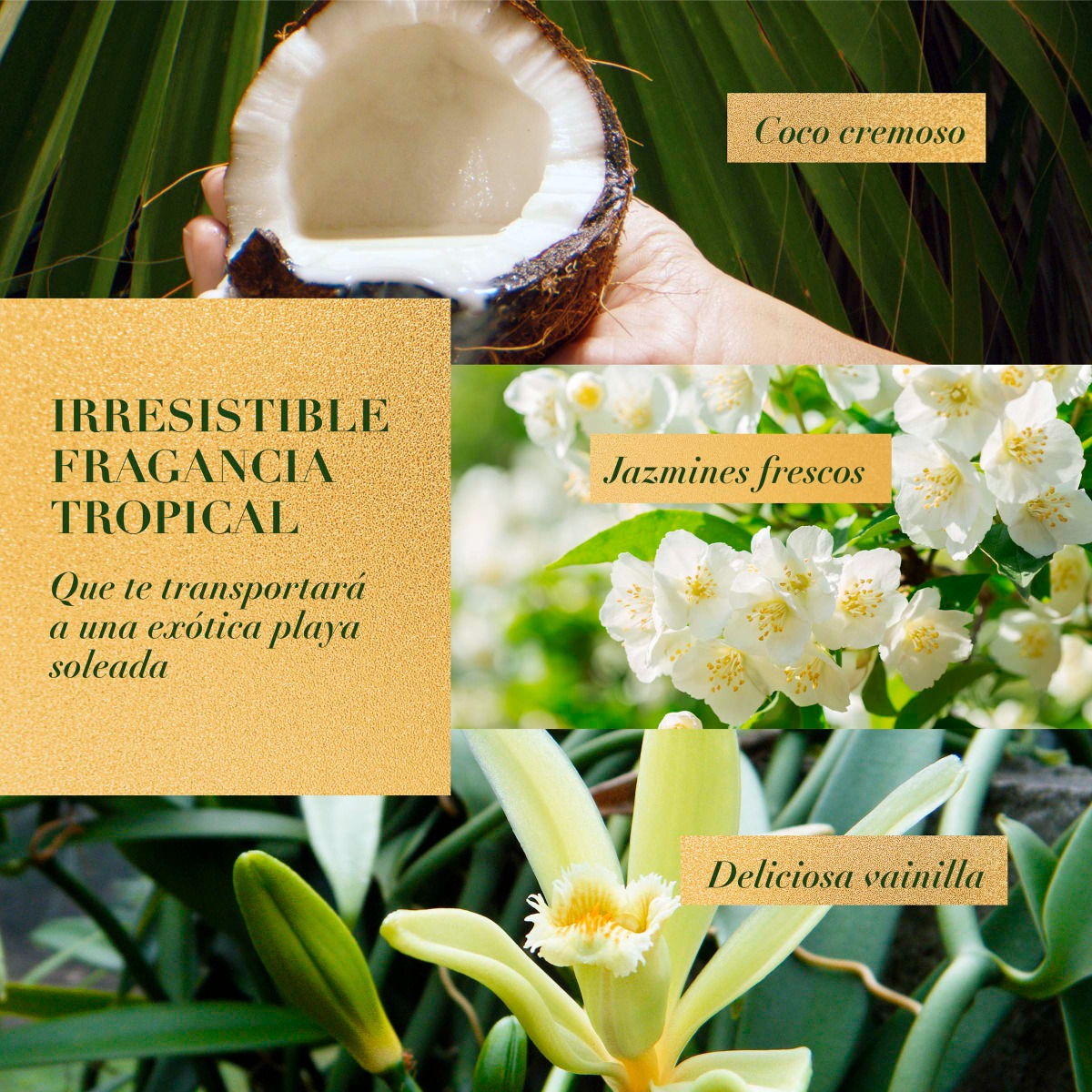 Shampoo Herbal Essences Coconut Milk 400 Ml - Imagen 2