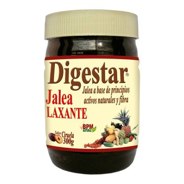 Digestar Jalea 300 G