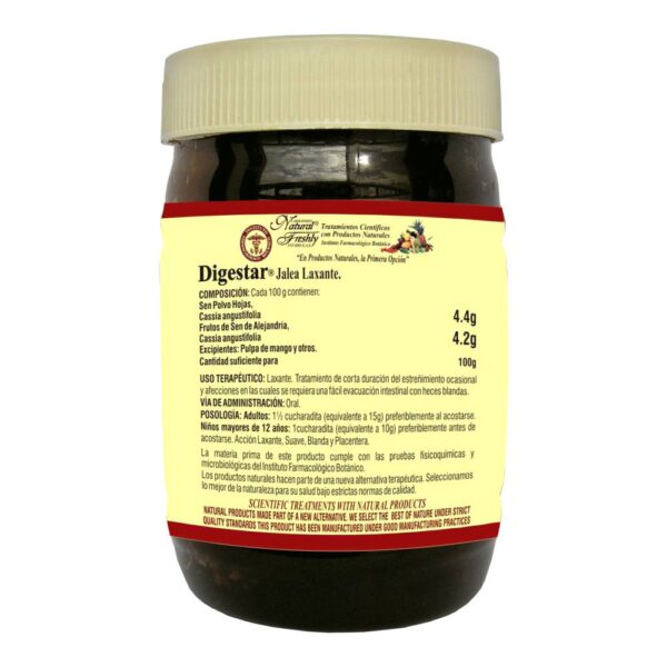 Digestar Jalea 300 G - Imagen 2