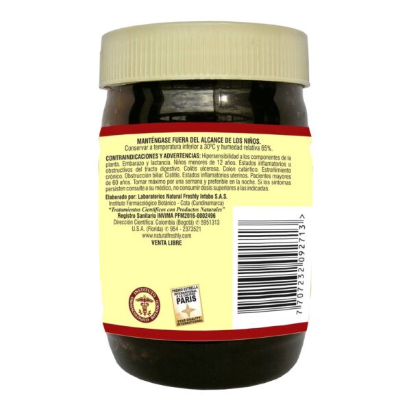 Digestar Jalea 300 G - Imagen 3