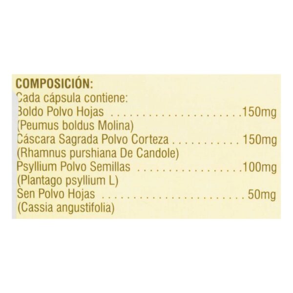 Digestar Max Forte 20 Cápsulas - Imagen 3