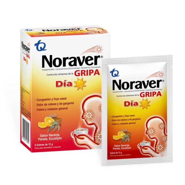 Noraver Gripa Bebida Dia 15 Gr 6 Sobres