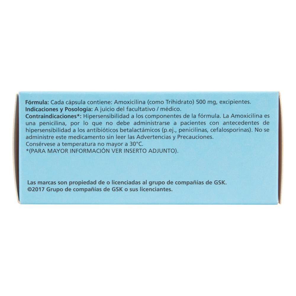 Amoxal Amoxicilina 500 mg 30 Cápsulas - Imagen 3